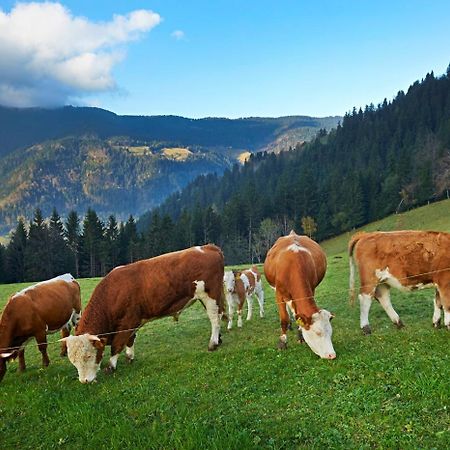 Tourist Farm Kladje Ljubno Exterior foto