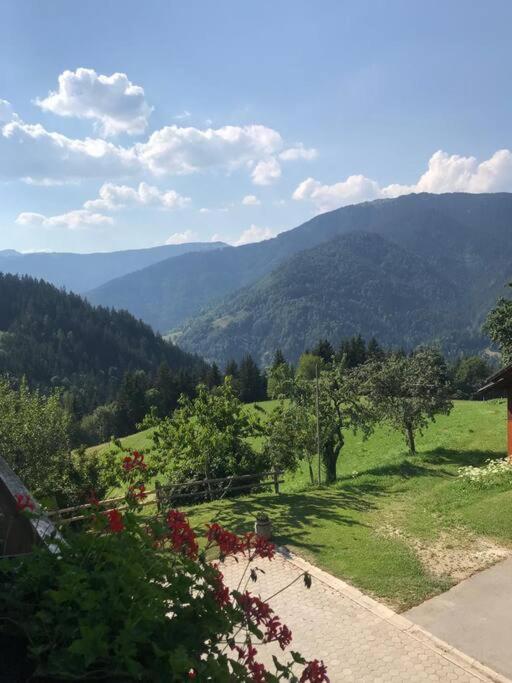 Tourist Farm Kladje Ljubno Exterior foto