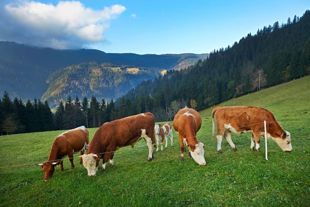 Tourist Farm Kladje Ljubno Exterior foto