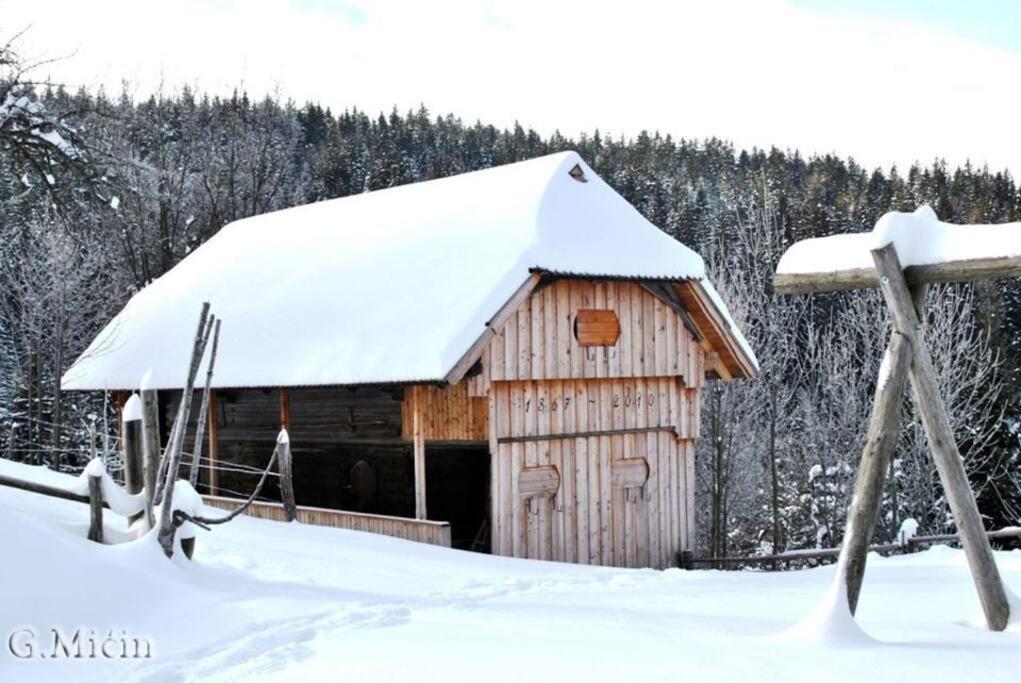 Tourist Farm Kladje Ljubno Exterior foto