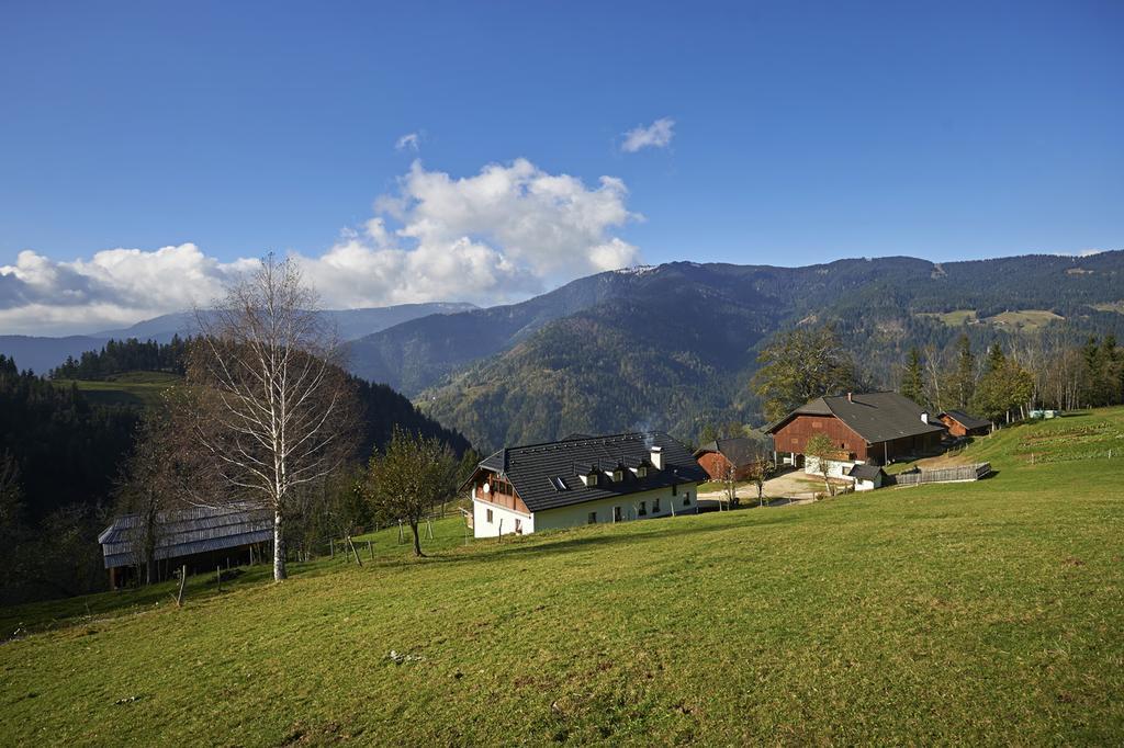 Tourist Farm Kladje Ljubno Exterior foto