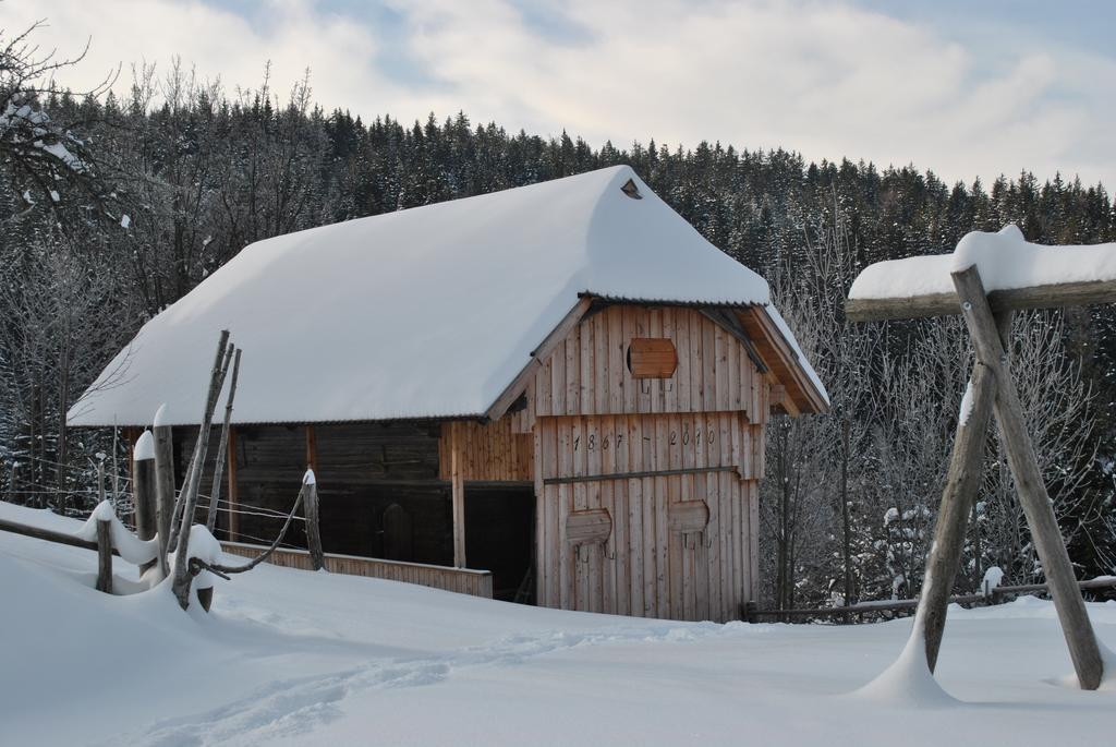 Tourist Farm Kladje Ljubno Exterior foto