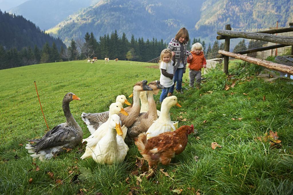 Tourist Farm Kladje Ljubno Exterior foto